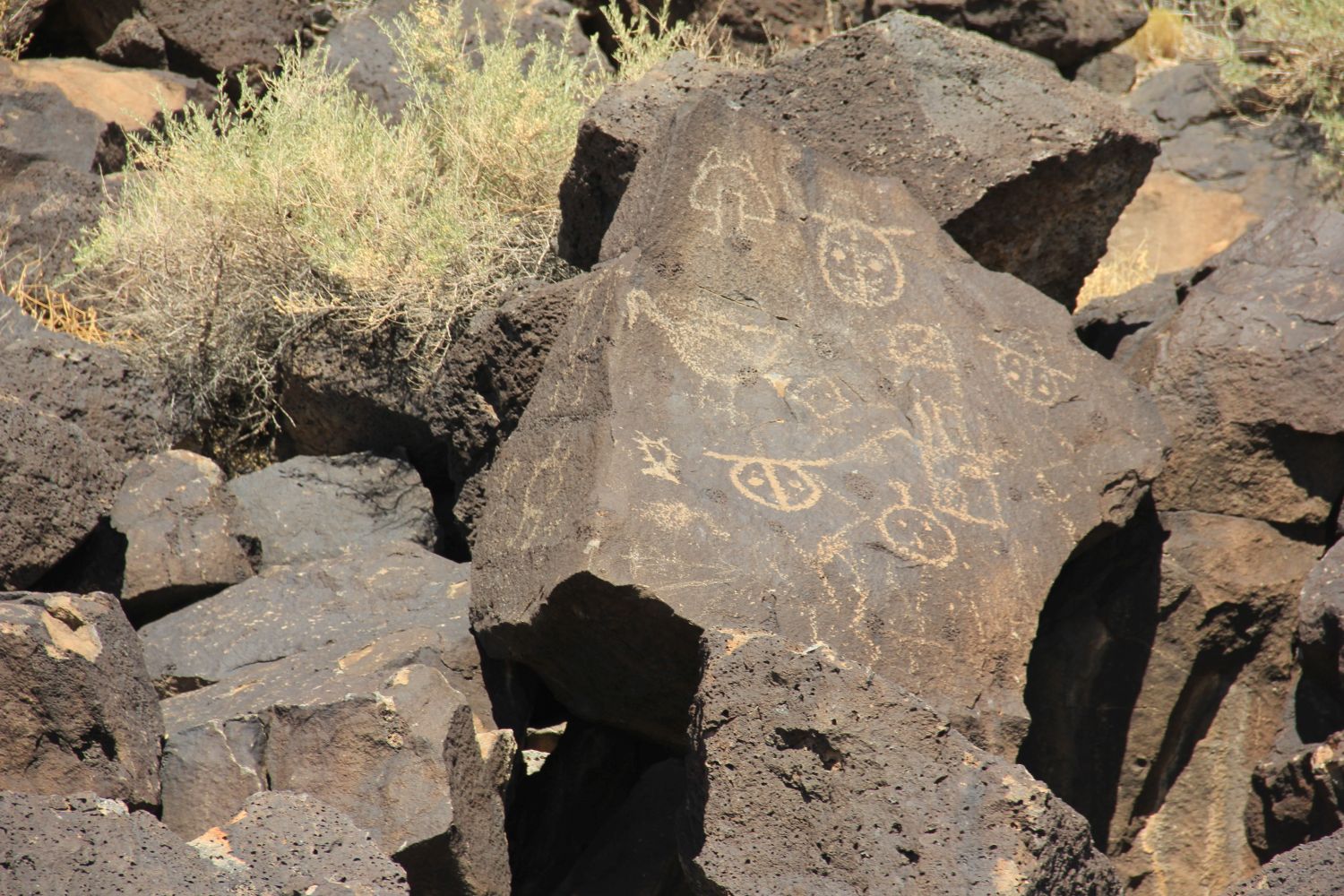 Petroglyph National Monument 